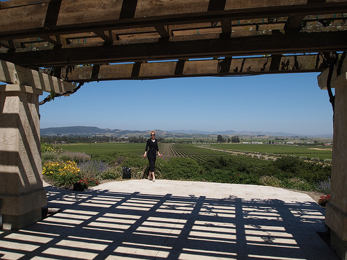 7265615278_449b5b0290